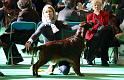 Crufts2010 1325